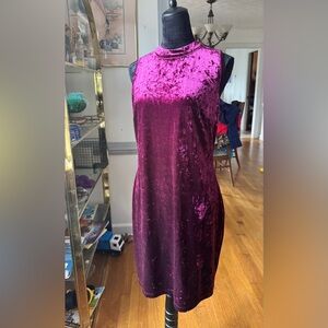 Forever 21 Velvet Purple Dress